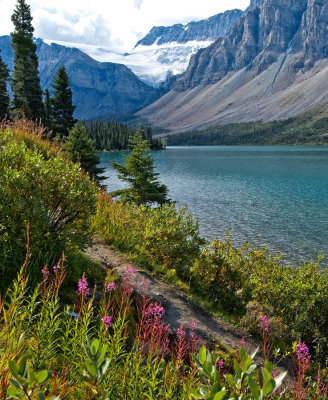 Bow Lake & glacier