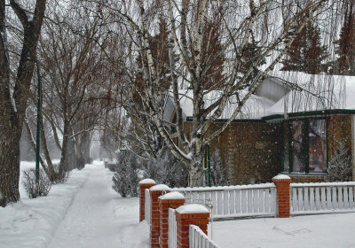 Winter snow - Calgary, Alberta.