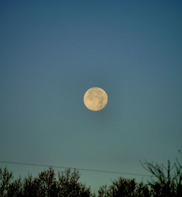 Moon 12/13/08 After sun up/closet it been to the earth in 15 years