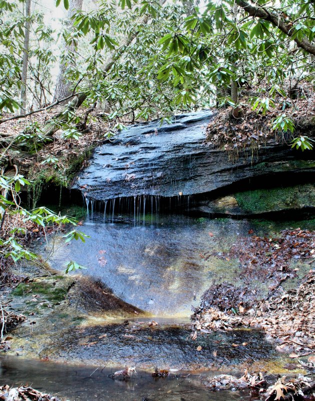 Water falls Found To Day  2/15/09 about 15 Ft. on a Tributary to Garden Cr.