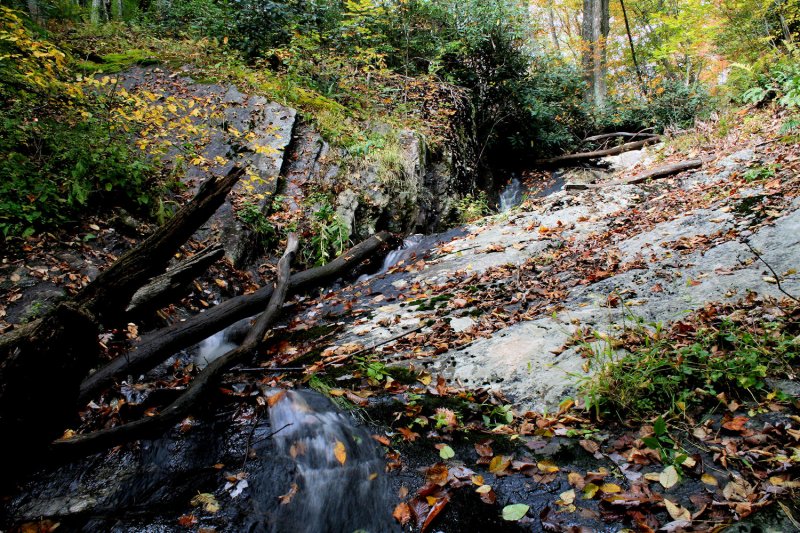 Cascades I Found This Pass Weekend 10/11 looking up About 75 to 100 Ft.