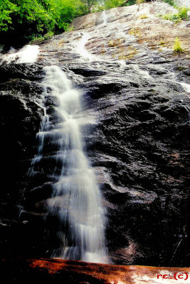 Garden Creek Falls  About 200 Ft . (summer)