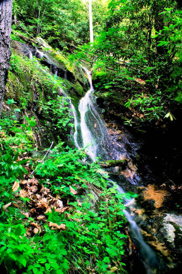 Waterfalls on Tributaries 2 to Stone Mountain Creek  |