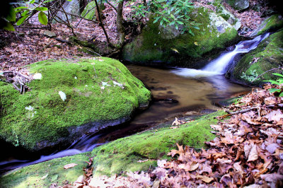 Tributary 1 Creek  to Stone Mountain Creek