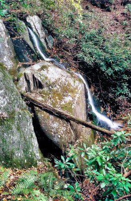 Waterfalls on Tributary to Rich Mountain Creek about 20 to 25 Ft.