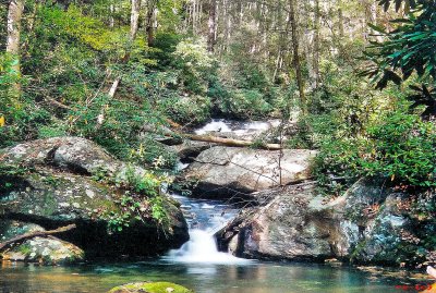 Waterfalls(10) on Rich Mountain Creek about 20 to 30 Ft.