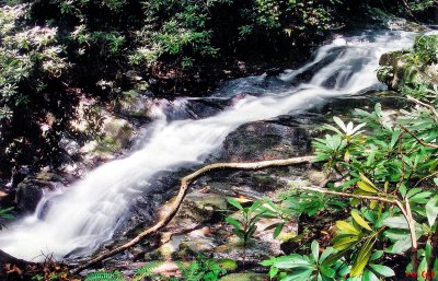 Waterfalls(8) on Rich Mountain Creek about 20 to 30 Ft.