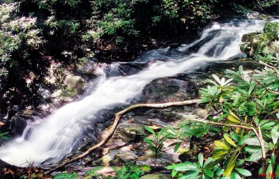 Waterfalls(8) on  Rich Mountain Creek about 20 to 30 Ft.