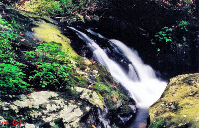 Waterfalls NO, 6  On  Rich Mountain Creek 6 to 12  FT.