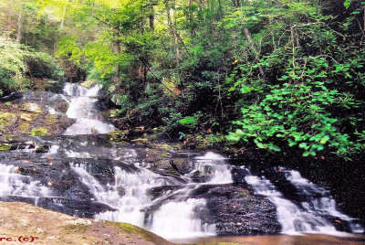 Waterfalls  (Cascades)  NO, 3 On  Rich Mountain Creek 40 to 50 FT.