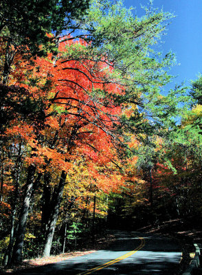Autumn Colors At Hanging Rock State Park NC./ 11/02/08