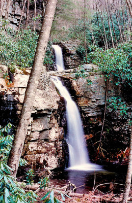 Gentry Creek Falls  TN. Each tier of the cataract is 40 Ft.