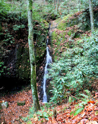 Backbone Falls TN. 35 to 45 Ft. 11/15/08