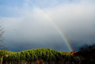 November Rainbows (11/15/08)   2 