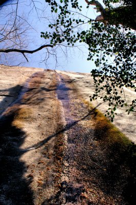 Stone Mountain