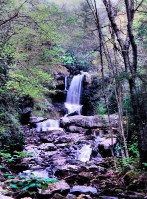   Spiry Creek  Falls TN. About 35 to 40 Ft.