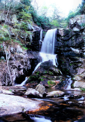   Spiry Creek  Falls TN. About 35 to 40 Ft.