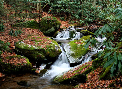 Creek Along a Back RD in VA We Driving on, 1/2/09