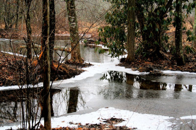 Beavers Pond 1/2/09