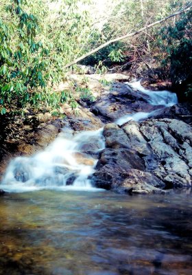 Little Laurel Creek TN  Falls 5 About 20 to 25 Ft. (winter)