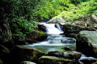 A long the trail.,Little Stony Creek