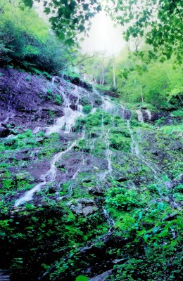 Buckeye Falls TN  Est.  High is 500 to 700 Ft.