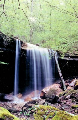 Big Laurel Creek Falls TN 1.35 to 45 Ft.