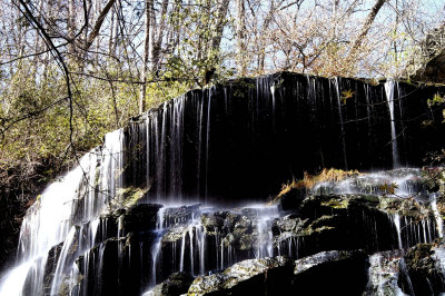 Yellow Branch Falls SC.