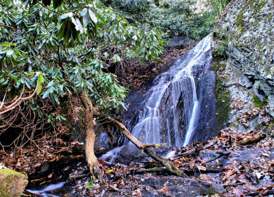 A Littler Waterfalls I Found in Doughton Pack Just off the RD. (100 Yds)