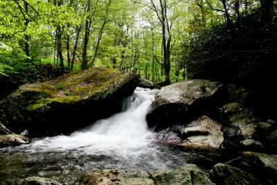 Spring Picture of Upper Cascades On Fox Creek VA. About 6 to 8 Ft.