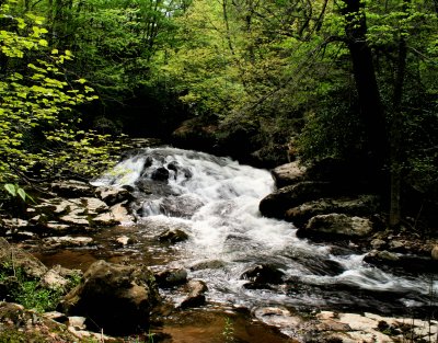 Spring Picture of Lover Cascades On Fox Creek VA. About 25 to 35 Ft.