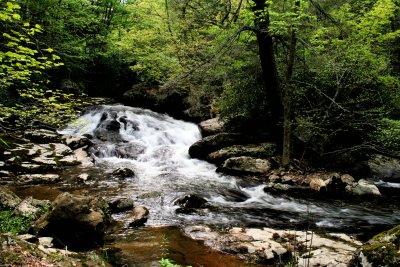 Spring Picture of Lover Cascades On Fox Creek VA. About 25 to 35 Ft.