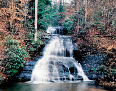 Wild Cat Branch Falls SC .