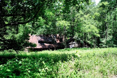 The only old home places steal standing in the back county of Stone Mt