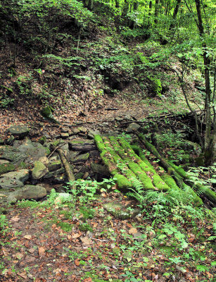 What Left of A Old Bridge on the trail Along Big Branch