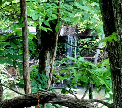 Surveyors Creek Falls,Photo made form the edge of the Lake only shot I had