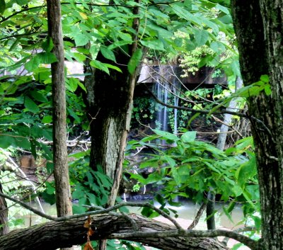 Surveyors Creek  Falls,Photo made form the edge of the Lake only shot I had