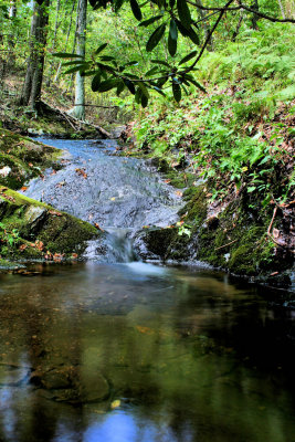 The Little Creek That run though the Old Dam