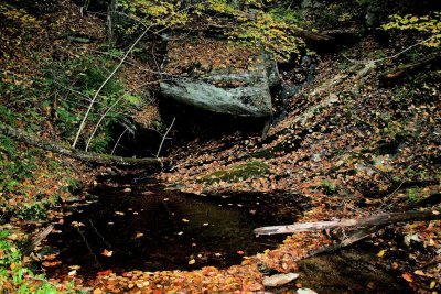 Fall 2009    Tributary to Basin Creek