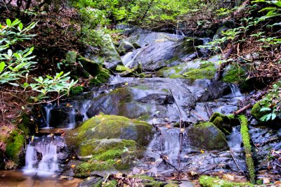 A anther  Falls/cascades we found Ellis Creek