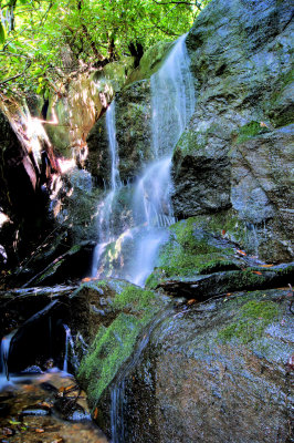 The 3Th Waterfalls found on Ellis Creek About 10 Ft.