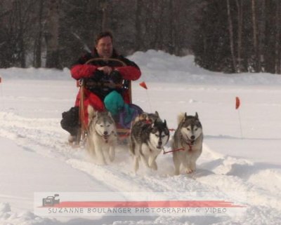 Dod Sledding  Riceville, Ontario