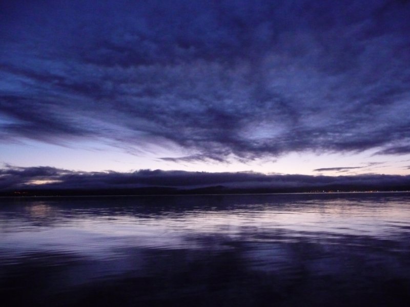P1000583.JPG
