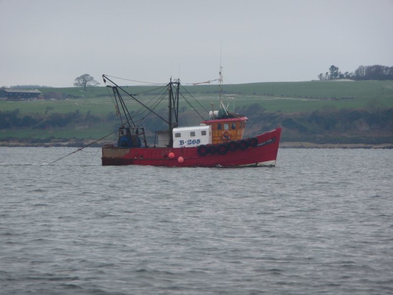 jubilee star