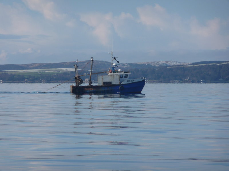 channel fisher