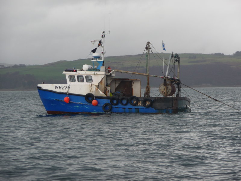 P1000590.JPG