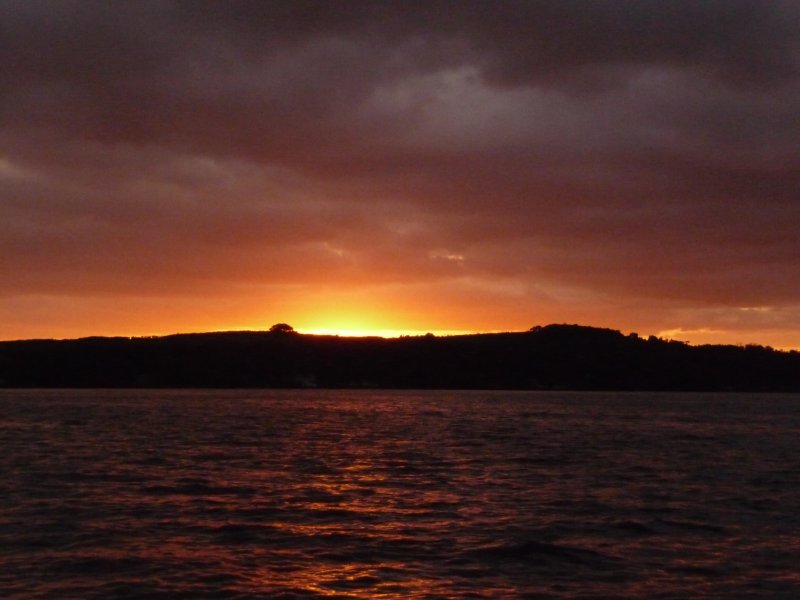 P1010016.JPG