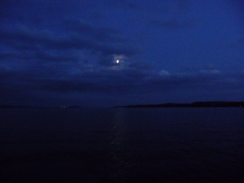 P1010019.JPG