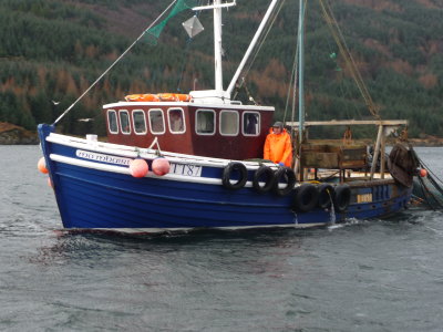 boats