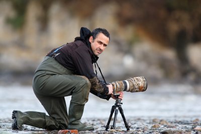 After the calidris alba III